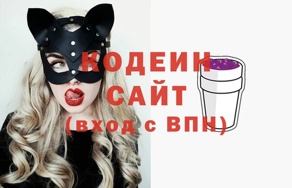 индика Алзамай