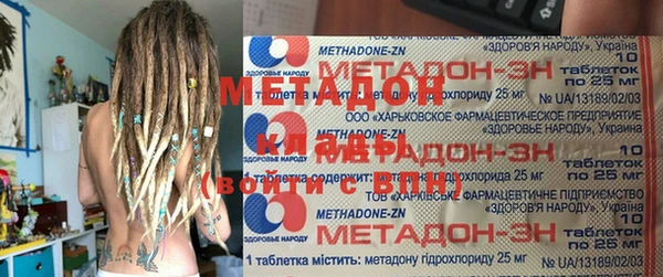 индика Алзамай