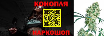 прущие грибы Шелехов