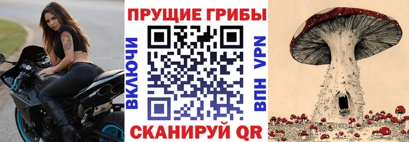Псилоцибиновые грибы Magic Shrooms  ОМГ ОМГ ТОР  Усть-Лабинск 